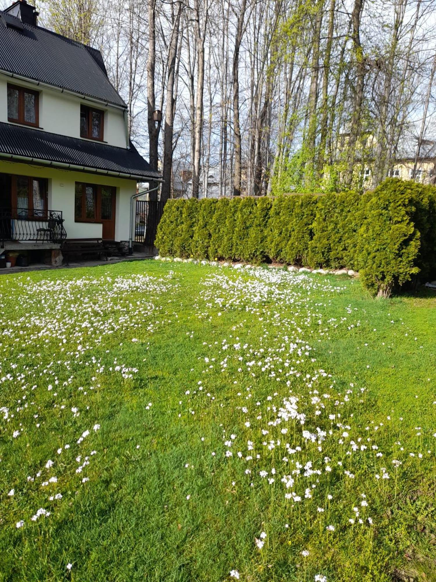 Pokoje Goscinne Kozica Zakopane Exterior photo